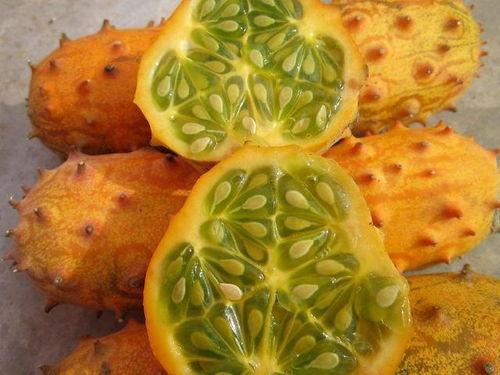 非洲网红吃瓜视频大全,趣味横生的非洲生活瞬间